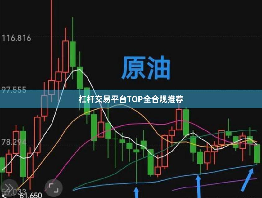 杠杆交易平台TOP全合规推荐